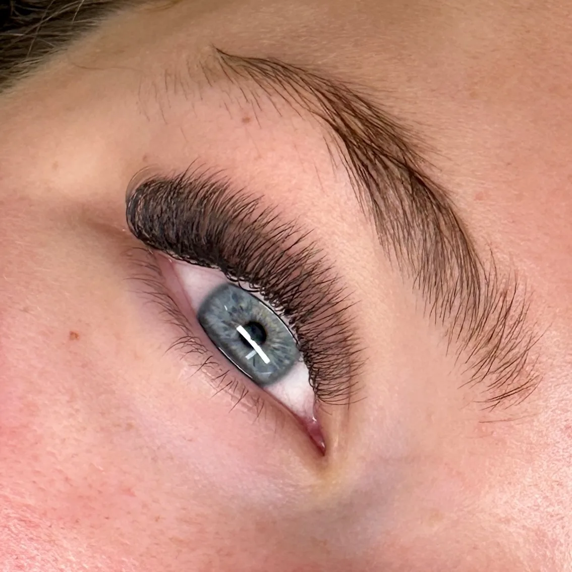 Open blue-grey eye with a dense dark lash fan and a brushed-up brow — lash work by Pink Crystal Beauty